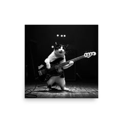 Kip Monochrome Photograph Poster