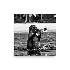 Loumar Monochrome Photograph Poster