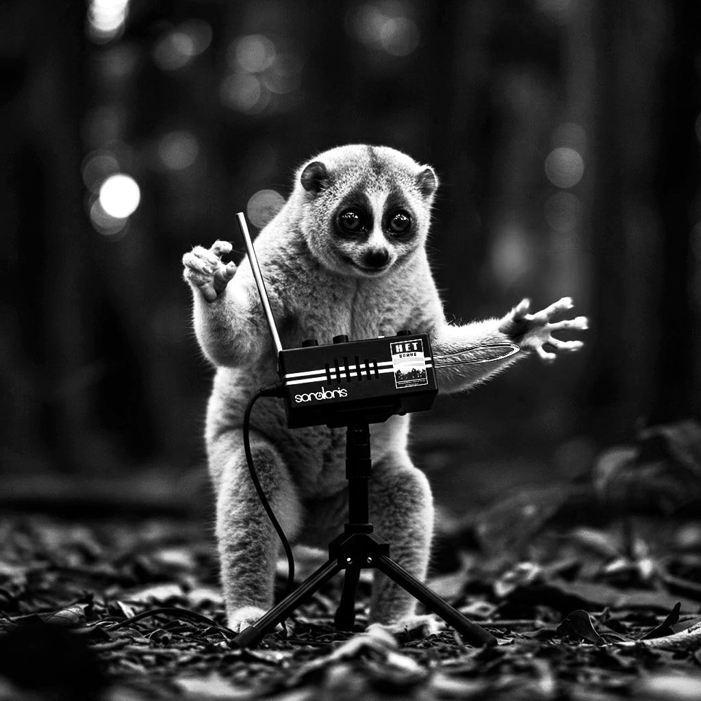 Sloris